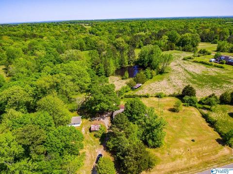 898 County Road 358, Trinity, AL 35673 photo 6