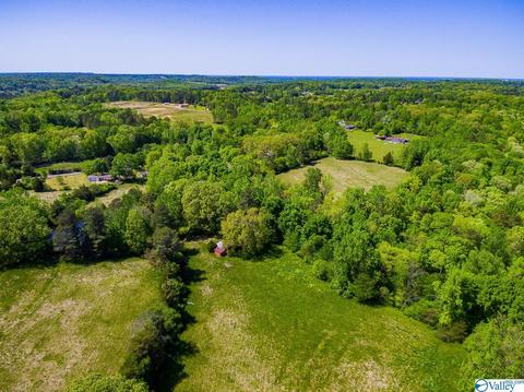 898 County Road 358, Trinity, AL 35673 photo 20