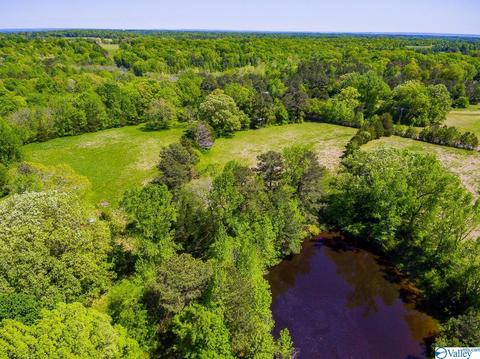 898 County Road 358, Trinity, AL 35673 photo 11