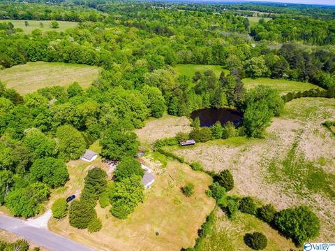 898 County Road 358, Trinity, AL 35673 photo 25