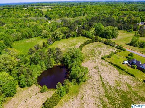 898 County Road 358, Trinity, AL 35673 photo 22