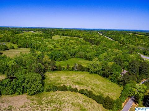898 County Road 358, Trinity, AL 35673 photo 13