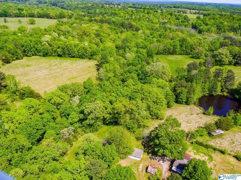 898 County Road 358, Trinity, AL 35673 photo 26