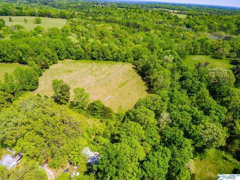 898 County Road 358, Trinity, AL 35673 photo 28