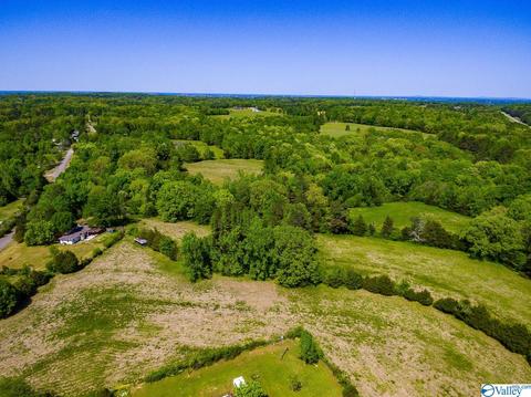 898 County Road 358, Trinity, AL 35673 photo 12