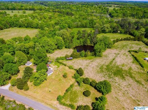 898 County Road 358, Trinity, AL 35673 photo 24