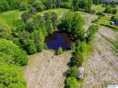 898 County Road 358, Trinity, AL 35673 photo 9