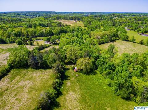 898 County Road 358, Trinity, AL 35673 photo 21