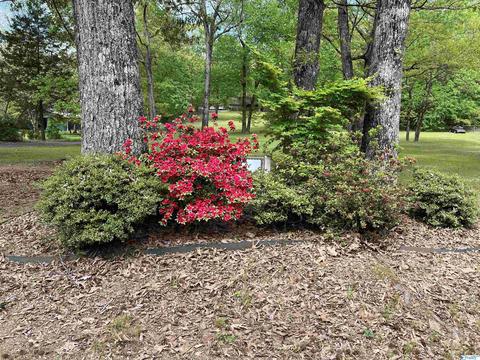190 N Seneca Dr, Trinity, AL 35673 photo 39