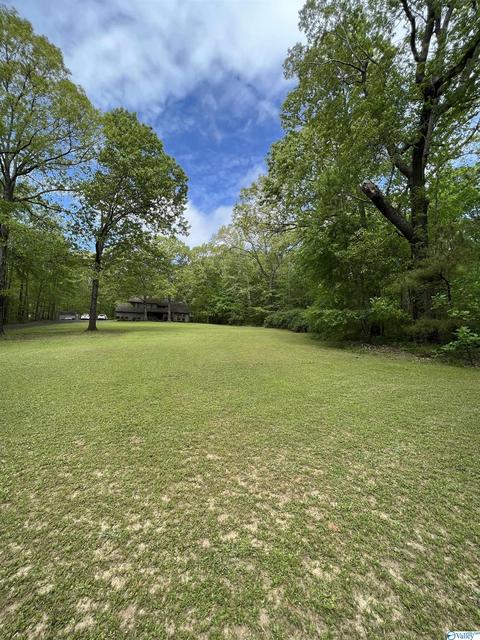 190 N Seneca Dr, Trinity, AL 35673 photo 43