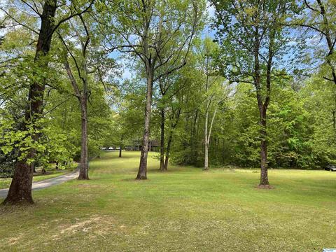 190 N Seneca Dr, Trinity, AL 35673 photo 40