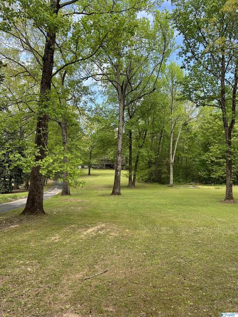 190 N Seneca Dr, Trinity, AL 35673 photo 42