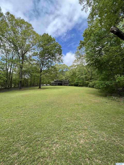 190 N Seneca Dr, Trinity, AL 35673 photo 41