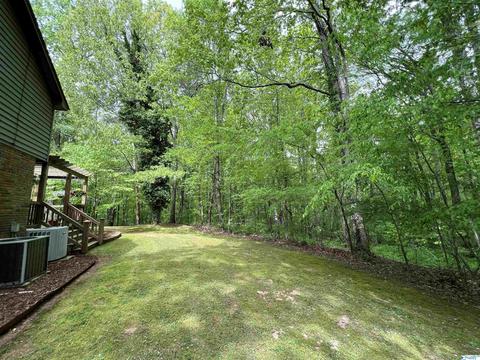 190 N Seneca Dr, Trinity, AL 35673 photo 45