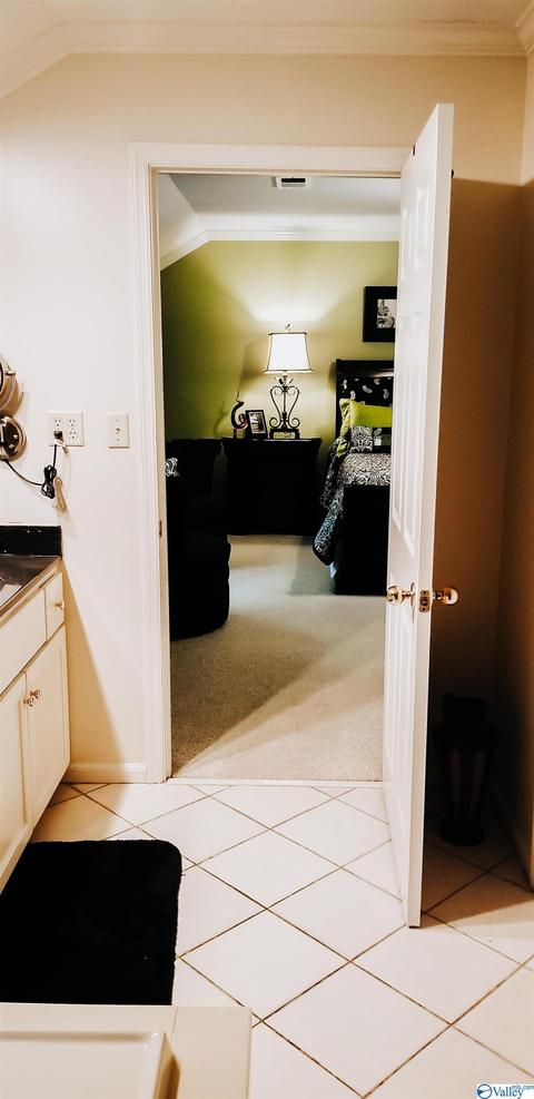 190 N Seneca Dr, Trinity, AL 35673 photo 21