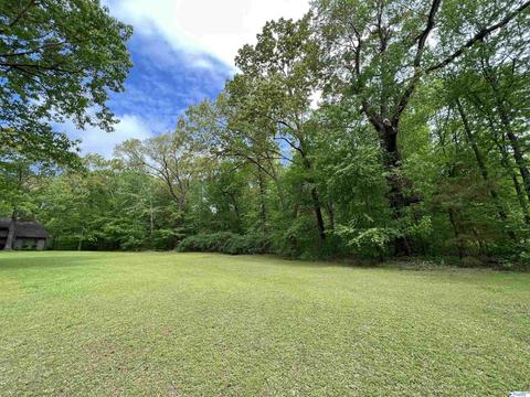 190 N Seneca Dr, Trinity, AL 35673 photo 44