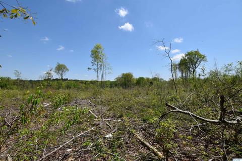540 Bluff Rd, Section, AL 35771 photo 46