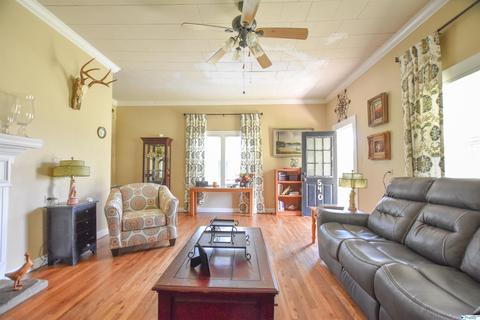 540 Bluff Rd, Section, AL 35771 photo 21