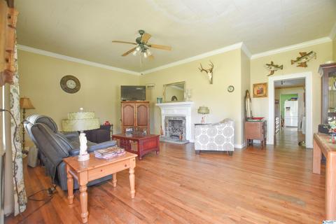 540 Bluff Rd, Section, AL 35771 photo 18