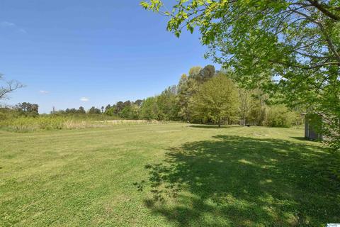 540 Bluff Rd, Section, AL 35771 photo 38