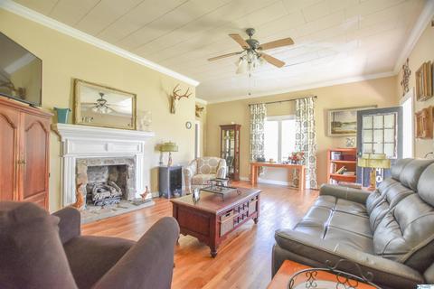 540 Bluff Rd, Section, AL 35771 photo 20