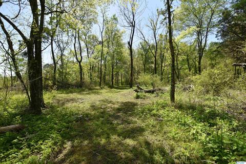 540 Bluff Rd, Section, AL 35771 photo 47