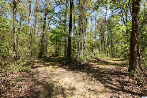 540 Bluff Rd, Section, AL 35771 photo 42