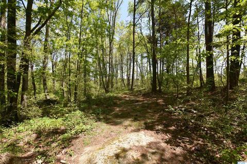 540 Bluff Rd, Section, AL 35771 photo 45