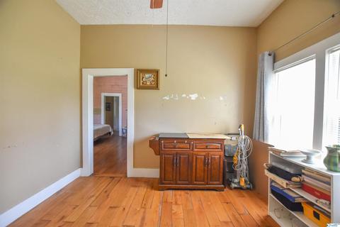 540 Bluff Rd, Section, AL 35771 photo 28