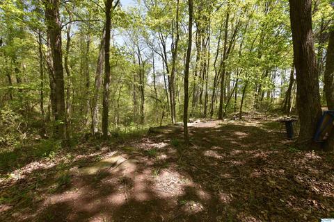 540 Bluff Rd, Section, AL 35771 photo 44