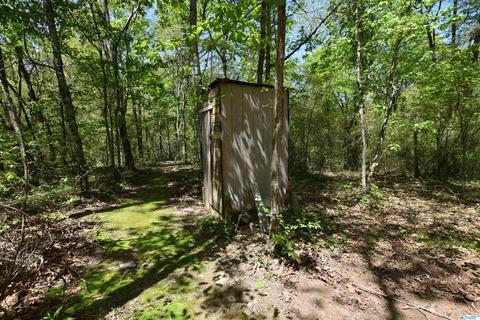 540 Bluff Rd, Section, AL 35771 photo 43