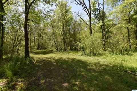 540 Bluff Rd, Section, AL 35771 photo 48