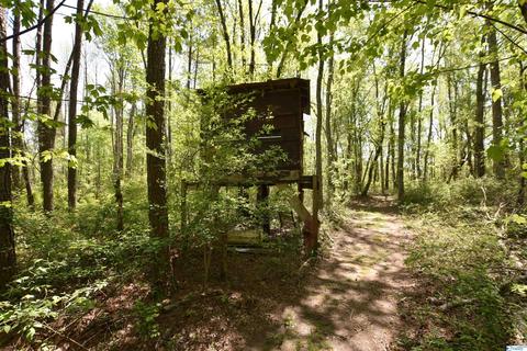 540 Bluff Rd, Section, AL 35771 photo 49