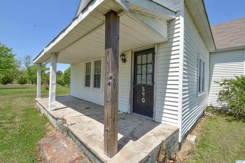 540 Bluff Rd, Section, AL 35771 photo 6