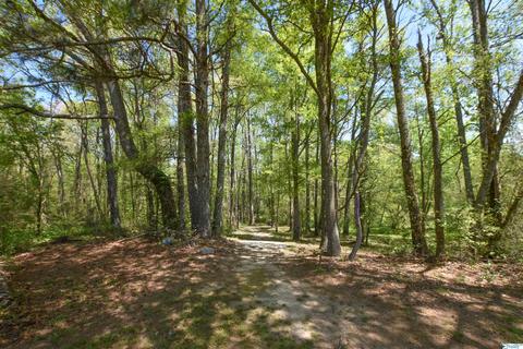 540 Bluff Rd, Section, AL 35771 photo 40