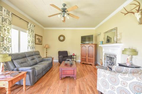 540 Bluff Rd, Section, AL 35771 photo 19