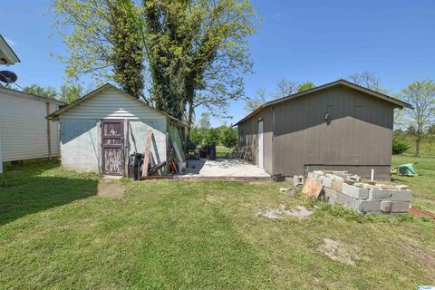 540 Bluff Rd, Section, AL 35771 photo 14