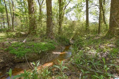 540 Bluff Rd, Section, AL 35771 photo 41
