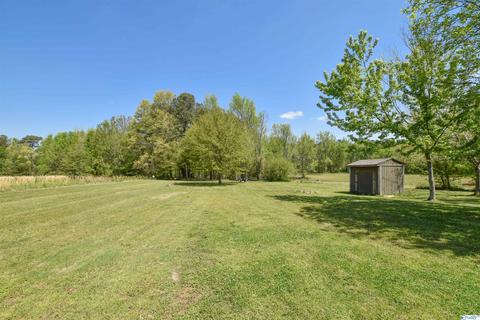 540 Bluff Rd, Section, AL 35771 photo 39