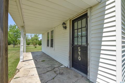 540 Bluff Rd, Section, AL 35771 photo 5