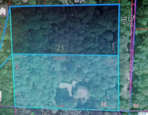 4367 B East River Rd, Mentone, AL 35984 photo 5