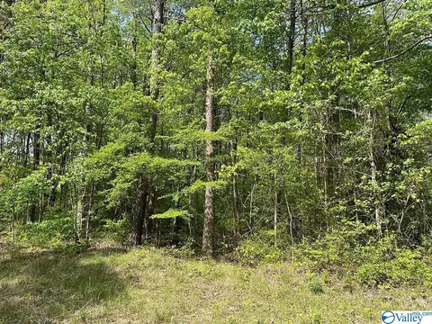 4367 B East River Rd, Mentone, AL 35984 photo 3