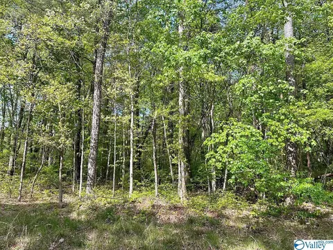 4367 B East River Rd, Mentone, AL 35984 photo 4