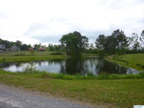 545 Mobbs School Rd, Arab, AL 35016 photo 28