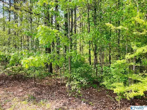 4345 Point Dr, Cedar Bluff, AL 35959 photo 2