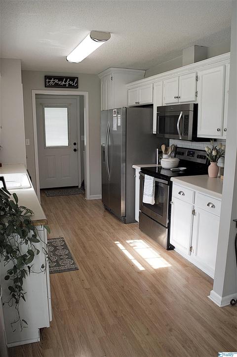 101 Morgan Ln, Section, AL 35771 photo 8