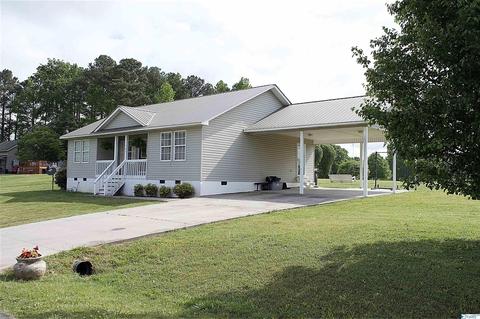 101 Morgan Ln, Section, AL 35771 photo 1