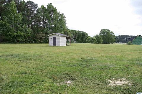 101 Morgan Ln, Section, AL 35771 photo 23