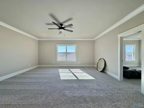249 Haystack Dr, Madison, AL 35757 photo 27