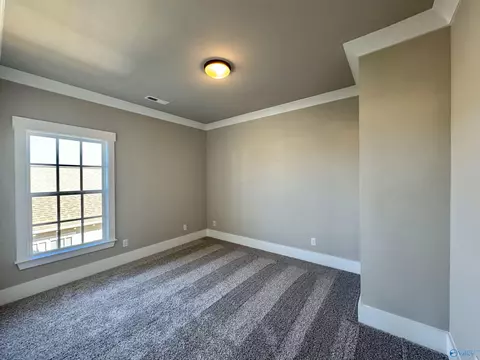 249 Haystack Dr, Madison, AL 35757 photo 29